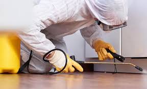 Emergency Pest Control Services in Maple Valley, WA